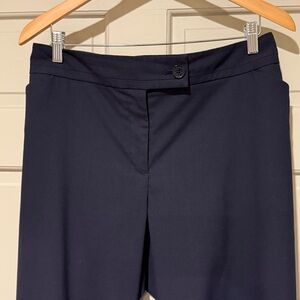 Ann Taylor Curvy Navy Tailored Work Trousers – Women’s 18
